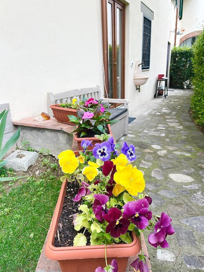 Dalu Florence Apartment Davide - Private Car Park 15 Minutes To The City Center Exterior photo