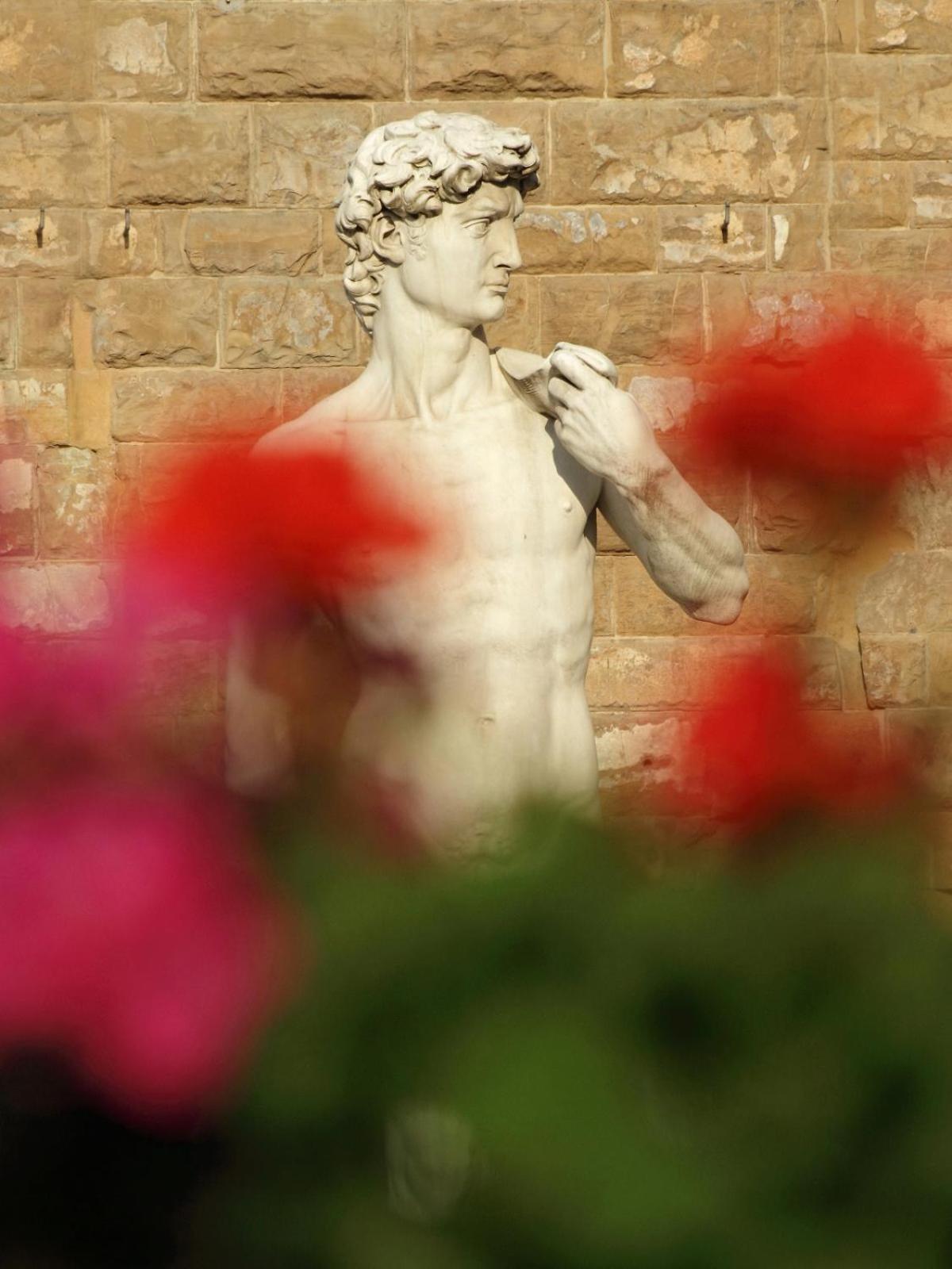 Dalu Florence Apartment Davide - Private Car Park 15 Minutes To The City Center Exterior photo