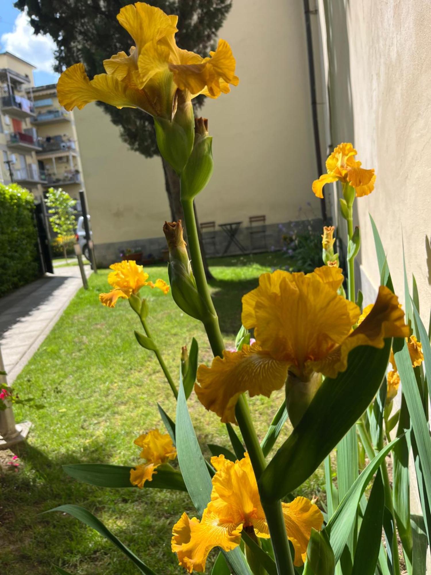 Dalu Florence Apartment Davide - Private Car Park 15 Minutes To The City Center Exterior photo
